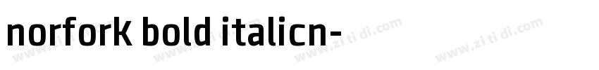 norfork bold italicn字体转换